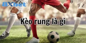 tìm hiểu về kèo rung