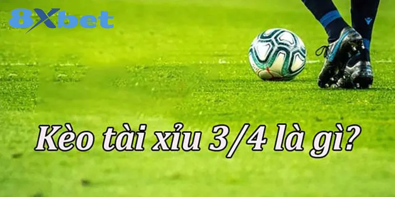 Thông tin về kèo cược tài xỉu 3/4